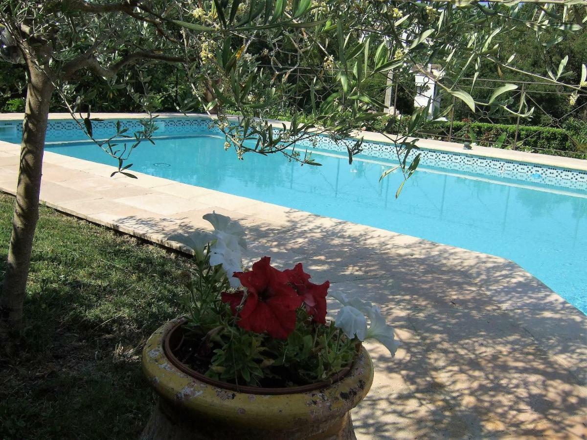Au Vallon Rouge Saint-Paul-de-Vence Eksteriør billede