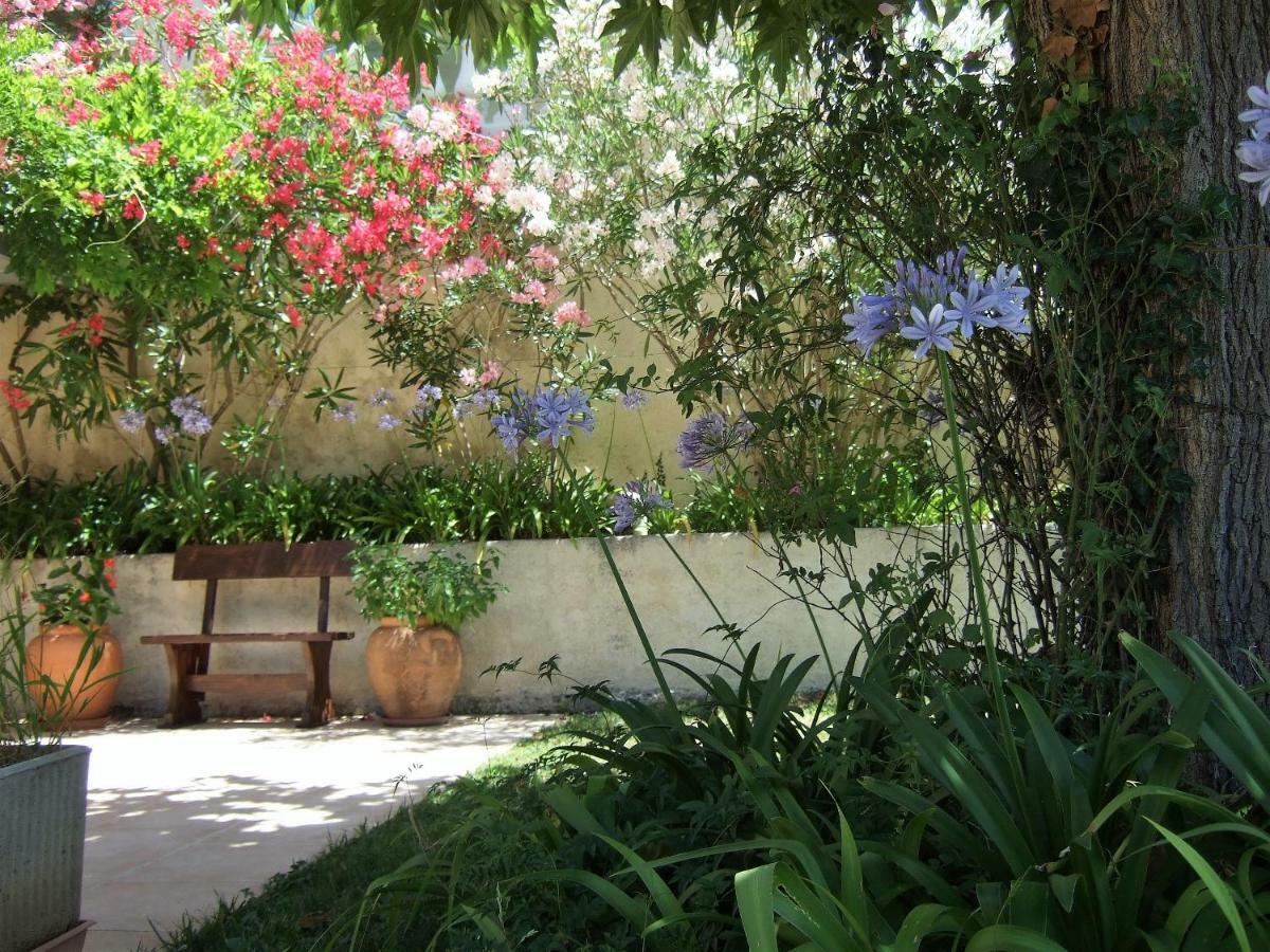 Au Vallon Rouge Saint-Paul-de-Vence Eksteriør billede